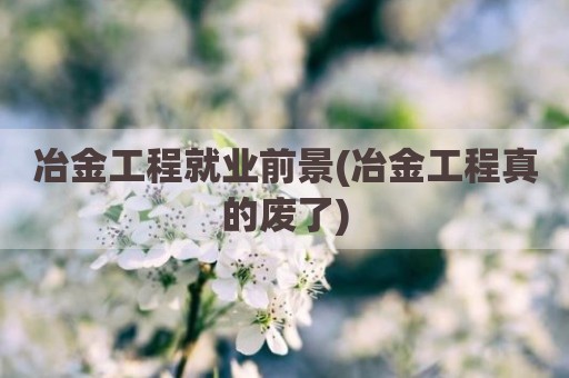 冶金工程就业前景(冶金工程真的废了)