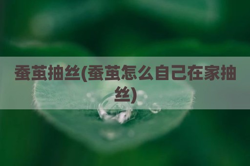 蚕茧抽丝(蚕茧怎么自己在家抽丝)