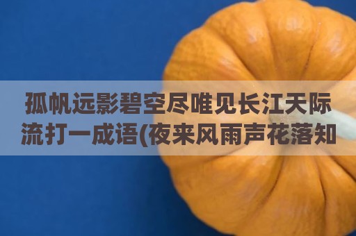 孤帆远影碧空尽唯见长江天际流打一成语(夜来风雨声花落知多少打一成语)