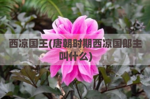 西凉国王(唐朝时期西凉国郎主叫什么)