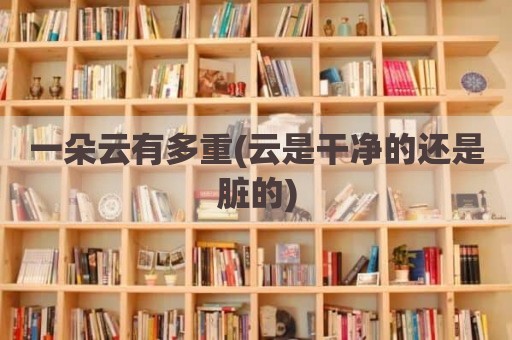 一朵云有多重(云是干净的还是脏的)