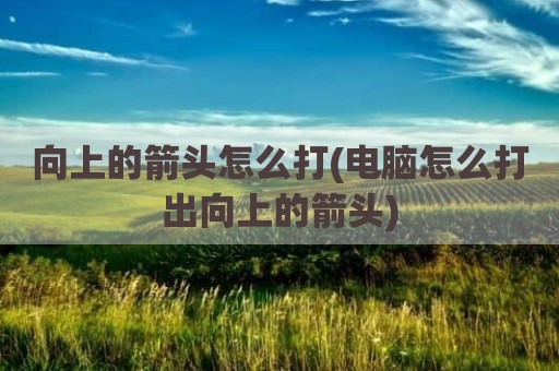 向上的箭头怎么打(电脑怎么打出向上的箭头)