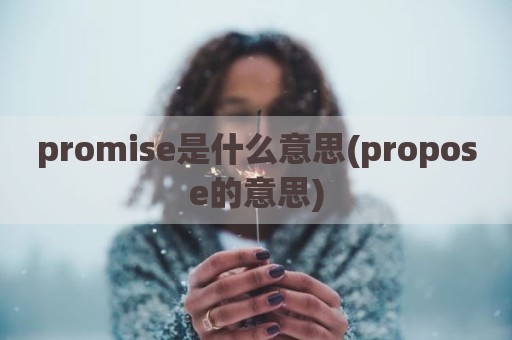 promise是什么意思(propose的意思)