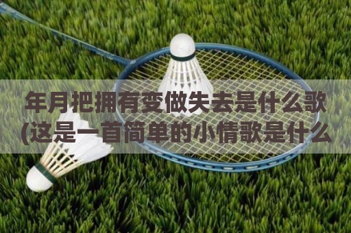 年月把拥有变做失去是什么歌(这是一首简单的小情歌是什么歌)