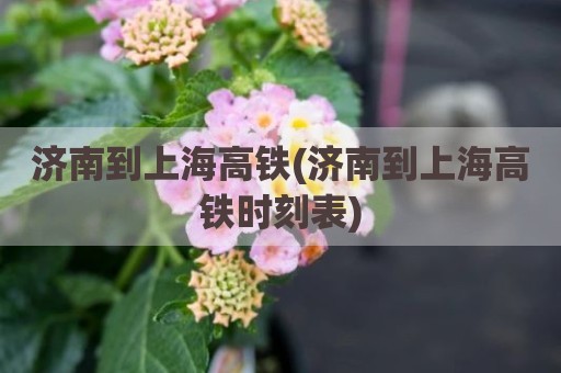 济南到上海高铁(济南到上海高铁时刻表)