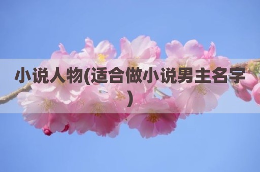 小说人物(适合做小说男主名字)