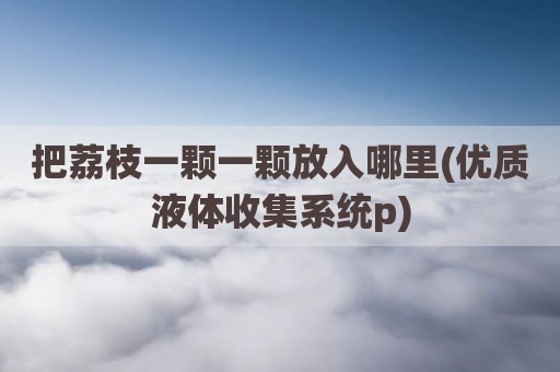 把荔枝一颗一颗放入哪里(优质液体收集系统p)