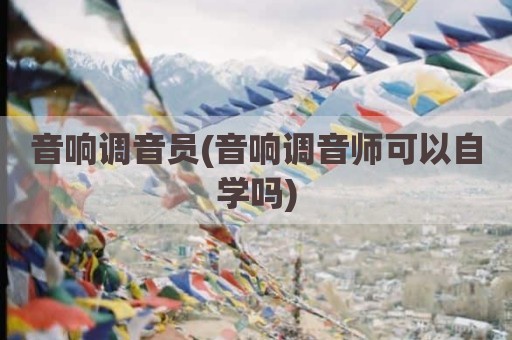 音响调音员(音响调音师可以自学吗)