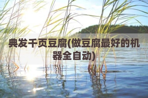 典发千页豆腐(做豆腐最好的机器全自动)