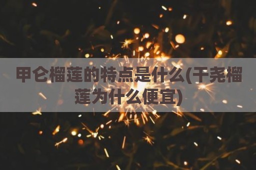 甲仑榴莲的特点是什么(干尧榴莲为什么便宜)