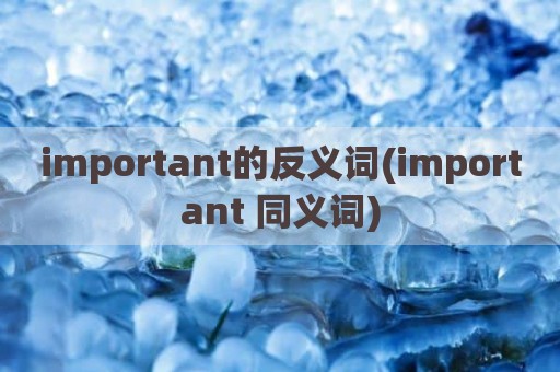 important的反义词(important 同义词)