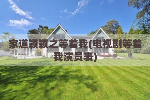 家道颖颖之等着我(电视剧等着我演员表)