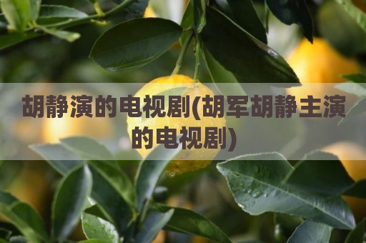 胡静演的电视剧(胡军胡静主演的电视剧)