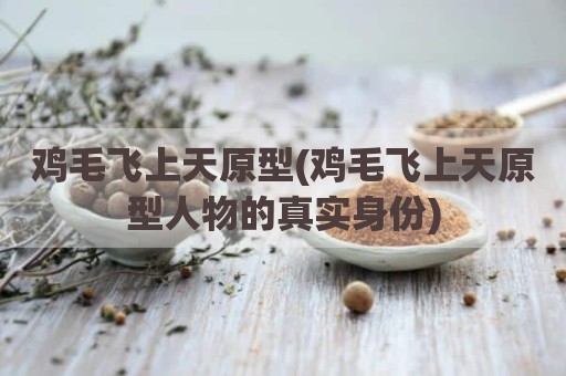 鸡毛飞上天原型(鸡毛飞上天原型人物的真实身份)