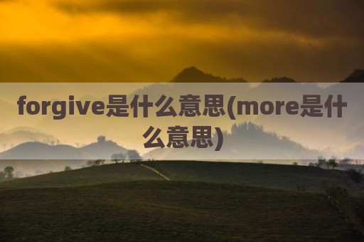 forgive是什么意思(more是什么意思)