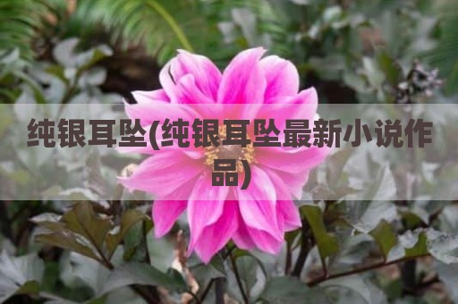 纯银耳坠(纯银耳坠最新小说作品)