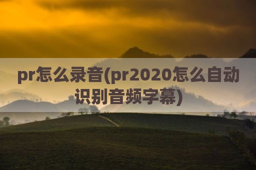 pr怎么录音(pr2020怎么自动识别音频字幕)