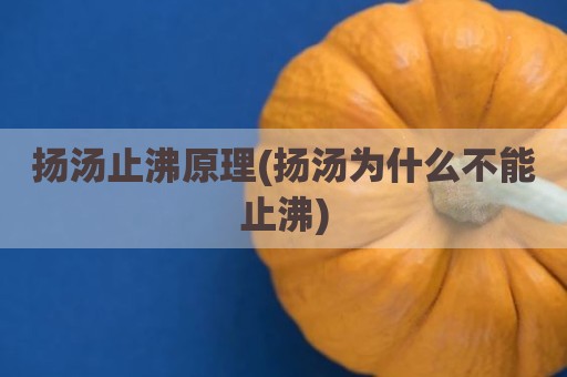 扬汤止沸原理(扬汤为什么不能止沸)