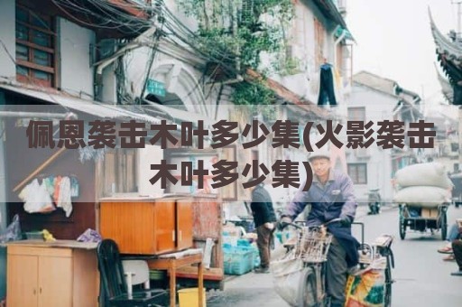 佩恩袭击木叶多少集(火影袭击木叶多少集)