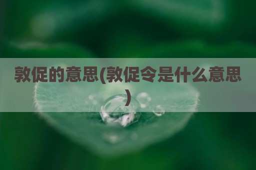 敦促的意思(敦促令是什么意思)