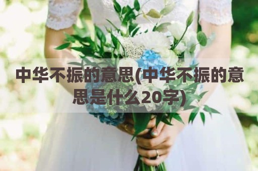 中华不振的意思(中华不振的意思是什么20字)