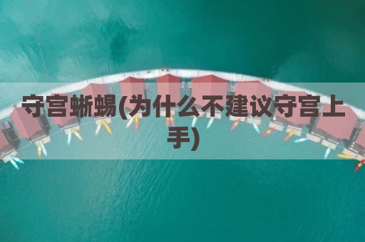 守宫蜥蜴(为什么不建议守宫上手)