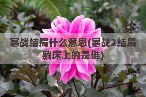 寒战结局什么意思(寒战2结局躺床上的是谁)