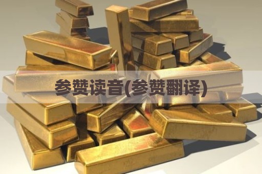 参赞读音(参赞翻译)