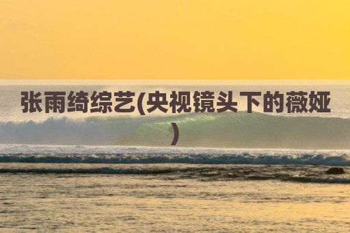 张雨绮综艺(央视镜头下的薇娅)