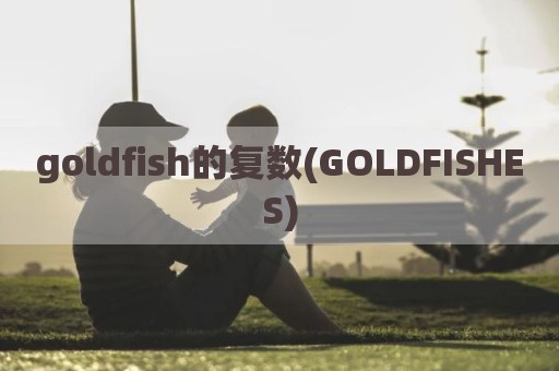 goldfish的复数(GOLDFISHES)