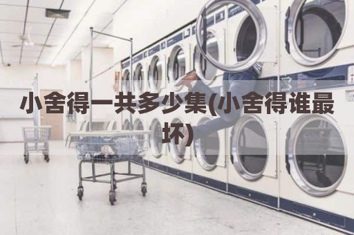 小舍得一共多少集(小舍得谁最坏)