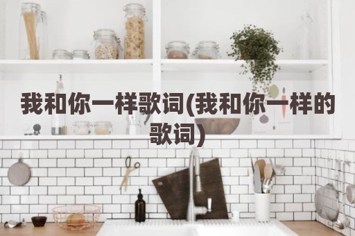 我和你一样歌词(我和你一样的歌词)