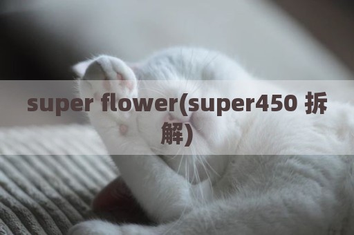 super flower(super450 拆解)