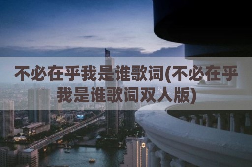 不必在乎我是谁歌词(不必在乎我是谁歌词双人版)