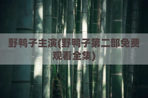 野鸭子主演(野鸭子第二部免费观看全集)