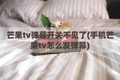 芒果tv弹幕开关不见了(手机芒果tv怎么发弹幕)