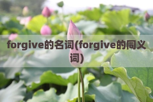 forgive的名词(forgive的同义词)