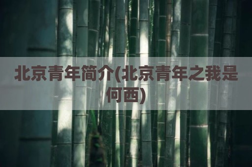 北京青年简介(北京青年之我是何西)