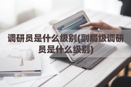 调研员是什么级别(副局级调研员是什么级别)