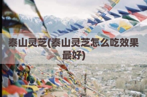 泰山灵芝(泰山灵芝怎么吃效果最好)