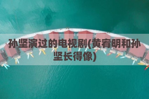 孙坚演过的电视剧(黄宥明和孙坚长得像)