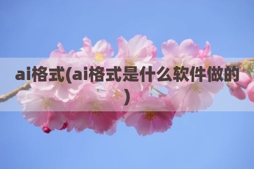 ai格式(ai格式是什么软件做的)