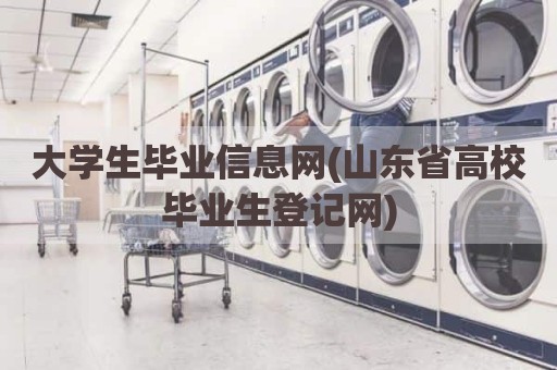 大学生毕业信息网(山东省高校毕业生登记网)