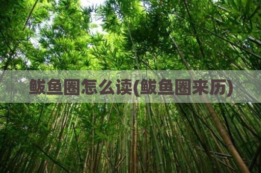 鲅鱼圈怎么读(鲅鱼圈来历)
