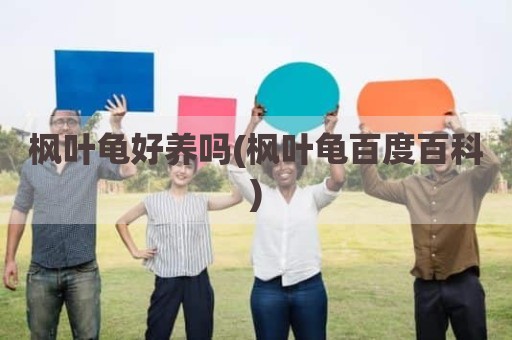 枫叶龟好养吗(枫叶龟百度百科)