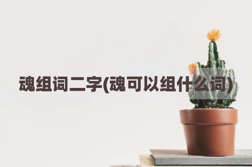 魂组词二字(魂可以组什么词)