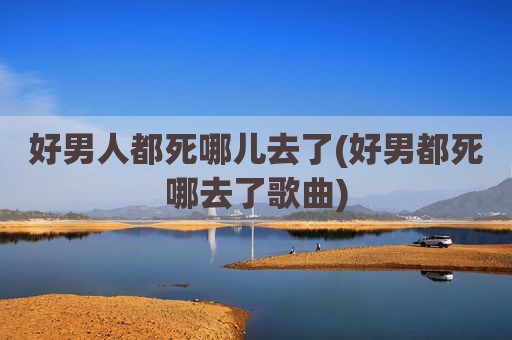 好男人都死哪儿去了(好男都死哪去了歌曲)