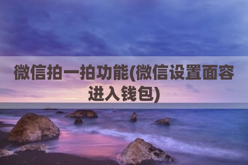 微信拍一拍功能(微信设置面容进入钱包)