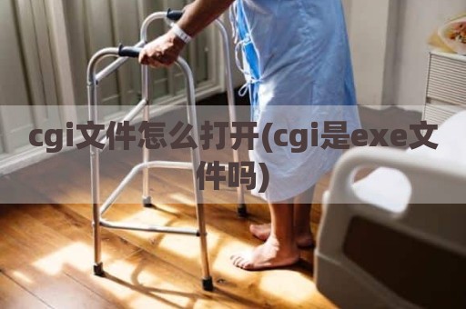 cgi文件怎么打开(cgi是exe文件吗)