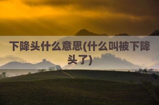 下降头什么意思(什么叫被下降头了)